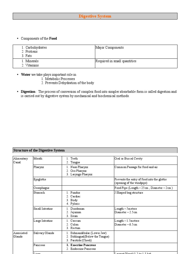 A Comprehensive Overview of the Structure, Function, and Digestive ...