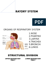 Respiratory System Lec