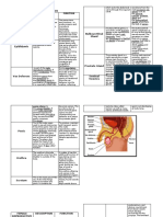 Male and female reproductive anatomy and functions