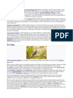 Ecology:, An Example of A Bird Highly Specialised in Its Habitat, in This Case in The Forests