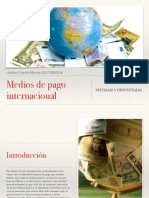 Medios de Pago Internacional PDF