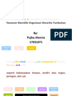 By: Pujha Alencia 17031071: Plants Hierarchical Organization