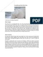 Text Report Tentang Binatang Beruang Kutub