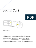 Siklus Cori - Wikipedia Bahasa Indonesia, Ensiklopedia Bebas PDF