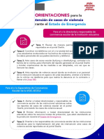 Orientaciones para La Atencioìn de Casos de Violencia Durante El Estado de Emergencia