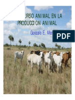 Recurso Animal Razas PDF