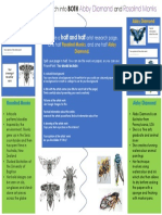 Year 7 Bugs Lesson 2