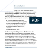 Hypothalamus and Pituitary Gland Control Endocrine System