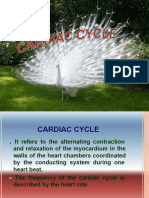 Cardiac Cycle 2