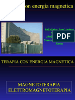 Magnetoterapia(2)