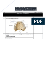 Tugas SL Integrasi Anatomi Rongga Mulut