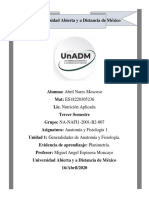 Afi U1 Ea Abnm PDF