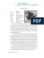 Davallia Denticulate PDF