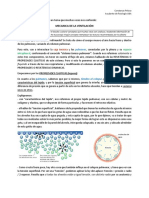 Mecánica de La Ventilación - Ayudante Constanza Peloso