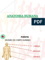 03 - Material Complementar - Sistema Esquelético e Muscular PDF