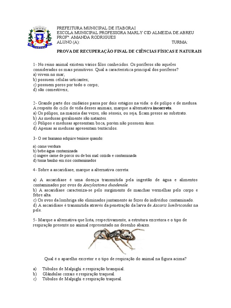 Recuperacao Final 7º Ano Branquia Respiracao