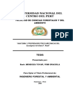Guía Madera PDF