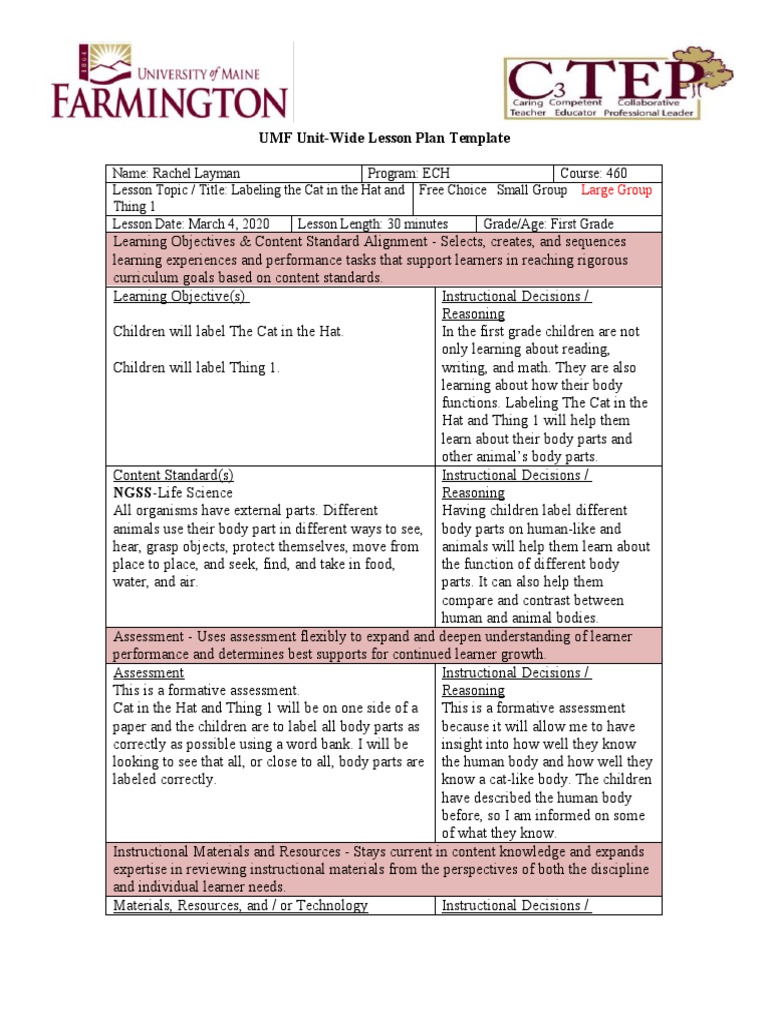 UMF Unit-Wide Lesson Plan Template: Large Group | PDF | Individualized ...