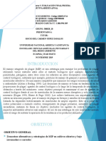 Unidad 1  2  3   Tarea 5 EVALUACIÓN FINAL PRUEBA OBJETIVA ABIERTA (POA). (1).pptx