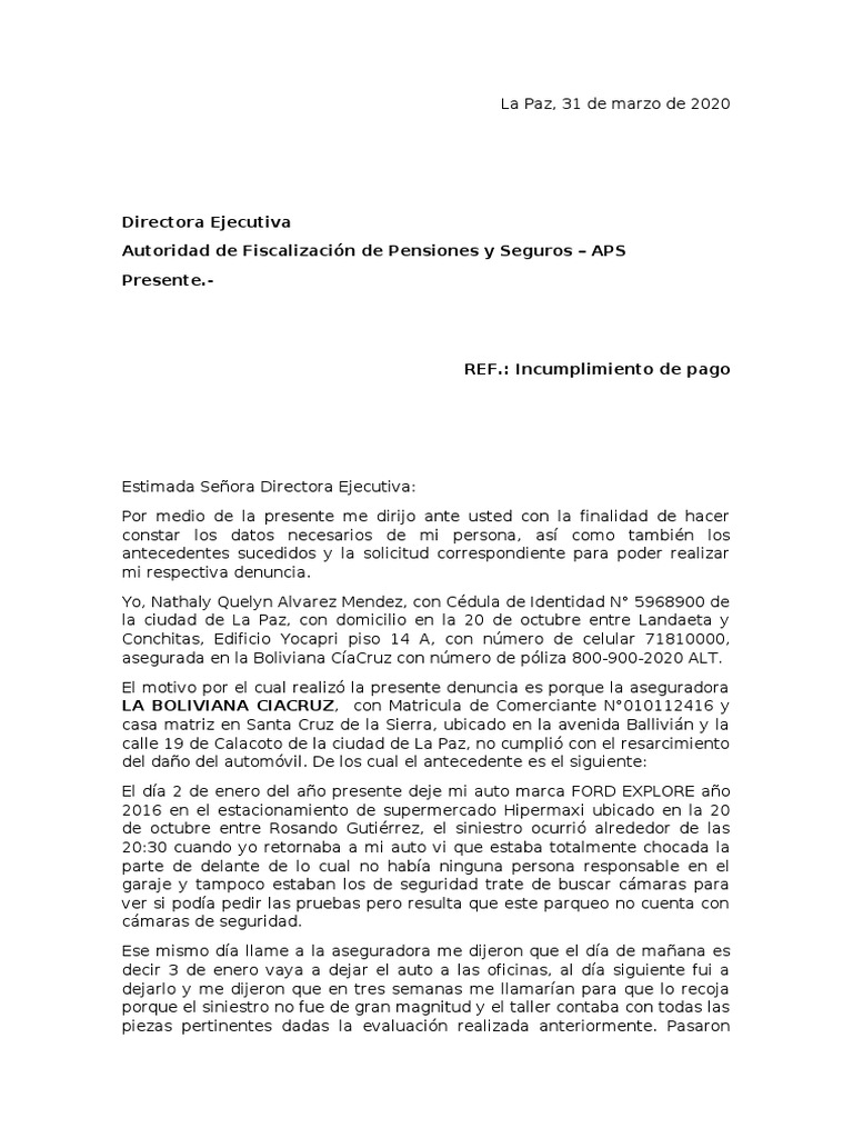 Carta De Denuncia Poliza De Seguros Violencia