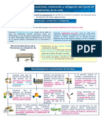 Infografía Habitante de Calle PDF