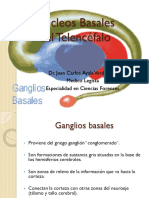 NEUROANATOMIA Núcleos Basales Del Telencefalo - Cap 9