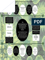 Mapa Mental Biorremediación PDF