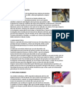 5 avances   cientificos,    biogracia de malala yousafi.docx