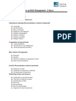 Debt Management Outline PDF