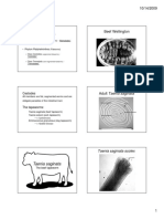 Helminths Beef Wellington: Taenia Saginata