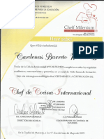 certificado cheff milenium copy