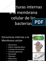 CLASE 7-Estructuras Internas A La Membrana