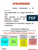 CAPACIDADES TERMINALES