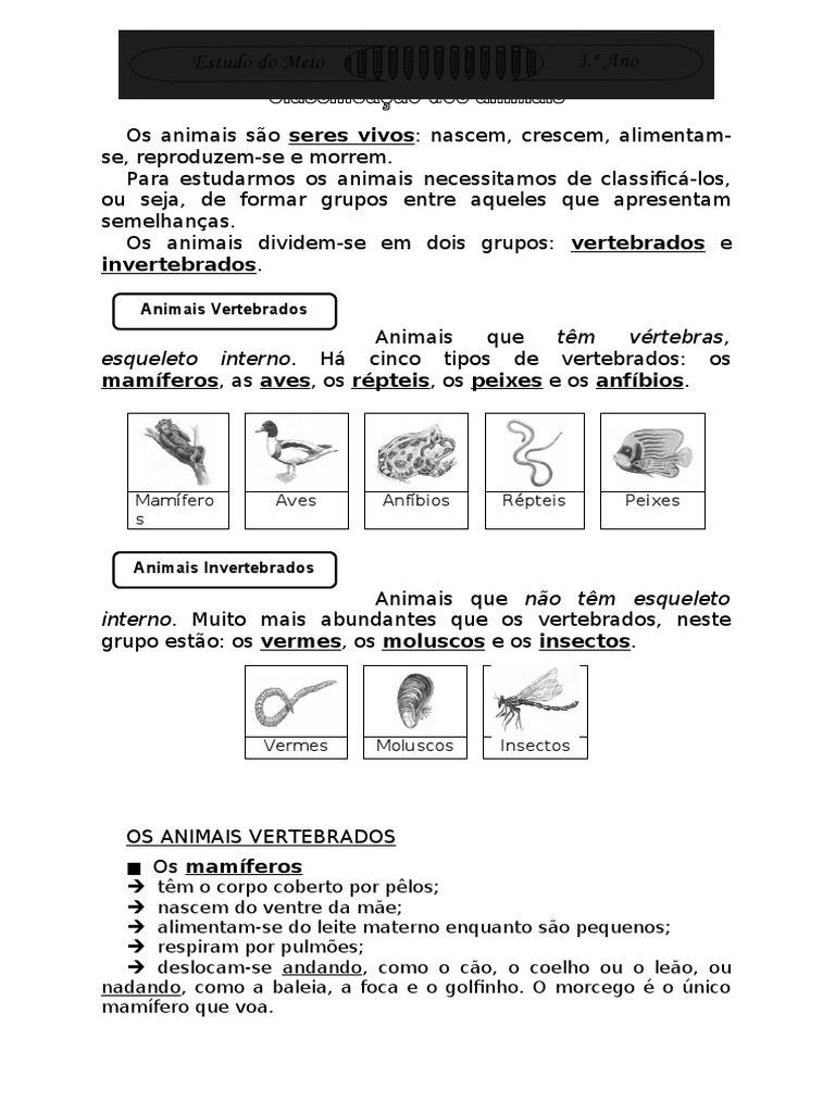 Ficha-Informativa-Animais-Vertebrados-e-Invertebrados 3º Ano | PDF ...