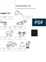 Ficha de Trabalho Estudo Do Meio 3º Ano Com Correção