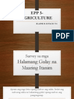 EPP 5-Agriculture: Elaine B. Estacio T-1