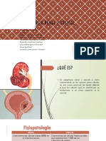 Equipo 4 Neoplasia Renal y Vesical