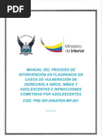 Manual de Flagrancias Dinapen Aprobado 30 - 01 - 2018 4 PDF