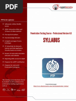 Syllabus: Penetration Testing Course - Professional Version 4.0