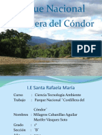 Parque Nacional de L Condor