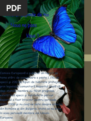 Plante Si Animale Pe Cale De Disparitie