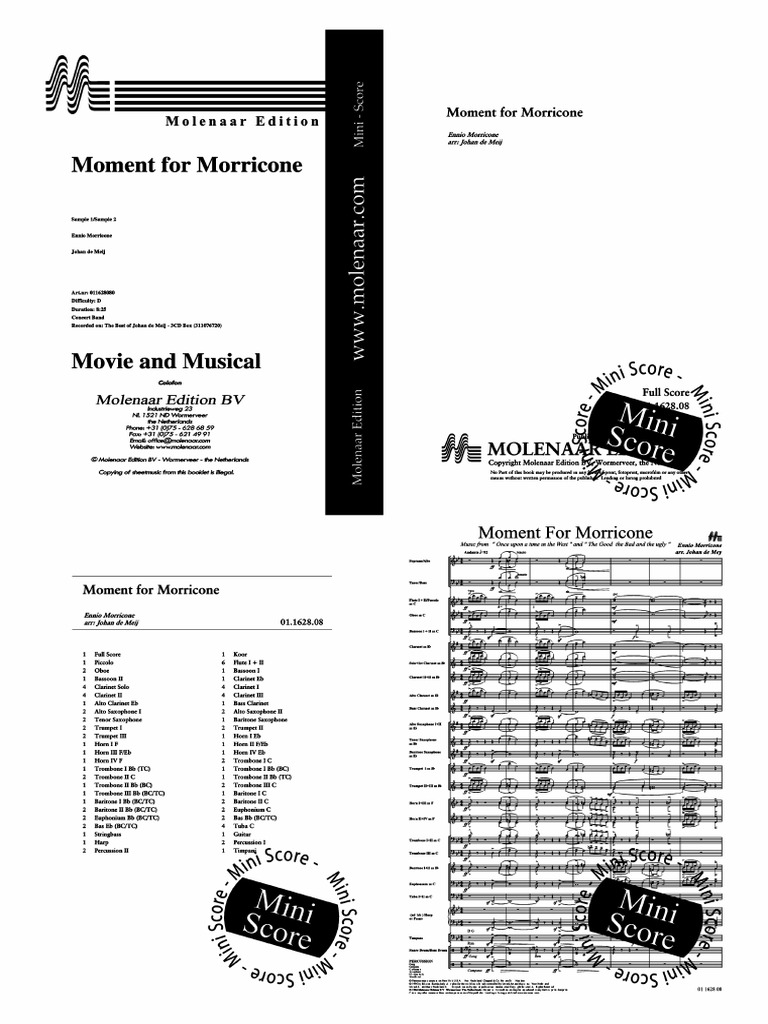 Mini Score PDF | PDF
