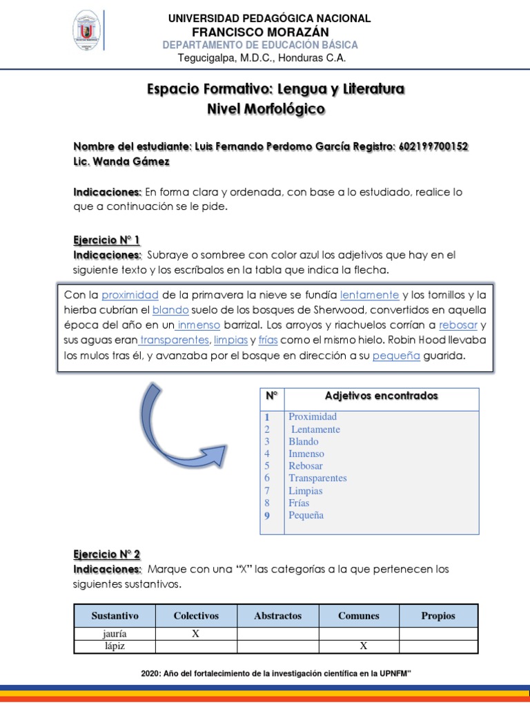Ejercicios de Lengua y Literatura UPNFM | PDF | Morfología | Filología