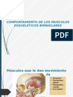 Comportamiento de Los Musculos Esqueleticos Bimaxilares