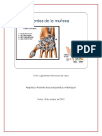 Ligamentos Intrinsecos