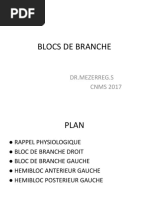 Blocs de Branche (DR MEZERREG) PDF