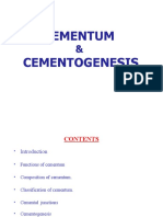 CEMENTUM & Cementogenesis