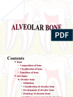 Alveolar Bone.ppt