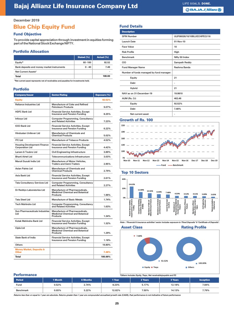blue-chip-equity-fund-portfolio-allocation-pdf-investment