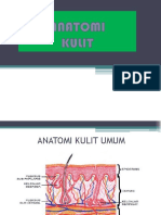 Anatomi Kulit Dan Rambut-Dikonversi